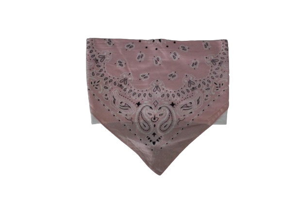 Pink Bandana Top